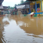 Ratusan Rumah Dikecamatan Muara Batang Gadis Kabupaten Mandailing Natal Terendam Banjir
