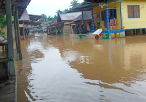 Ratusan Rumah Dikecamatan Muara Batang Gadis Kabupaten Mandailing Natal Terendam Banjir