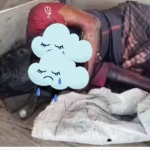 Mayat Seorang Laki – laki Diduga ODGJ Ditemukan di Pondok Kebun Jagung Kecamatan Banding Agung