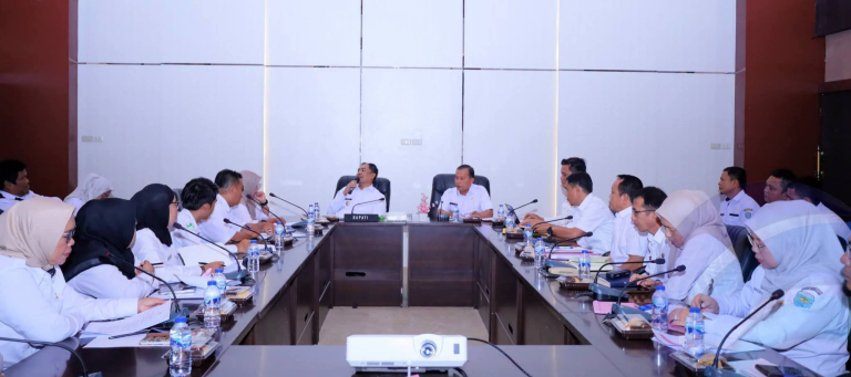 Bupati Oku Selatan Terima Audiensi Perwakilan P3K Paruh Waktu