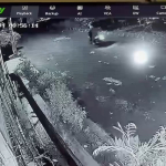 Terekam CCTV,Pelaku Curanmor di Tangkap Satreskrim Polsek Ciledug Tangerang