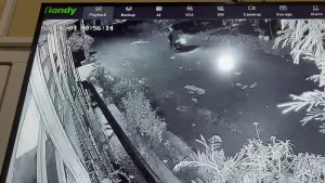 Terekam CCTV,Pelaku Curanmor di Tangkap Satreskrim Polsek Ciledug Tangerang
